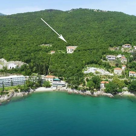 Camelia Опатия