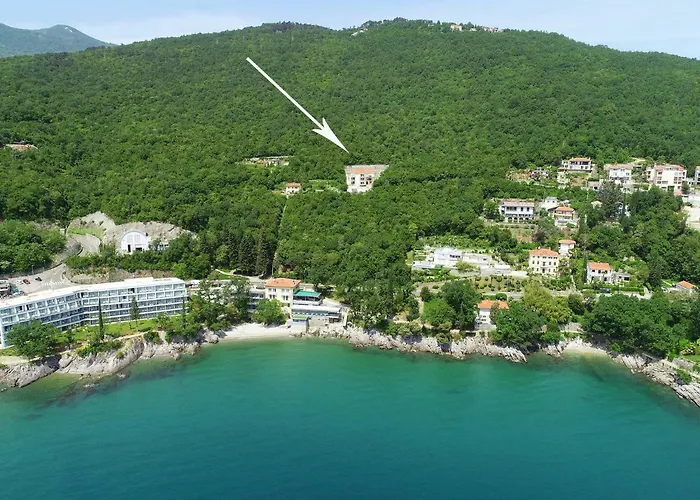 Camelia 오파티아